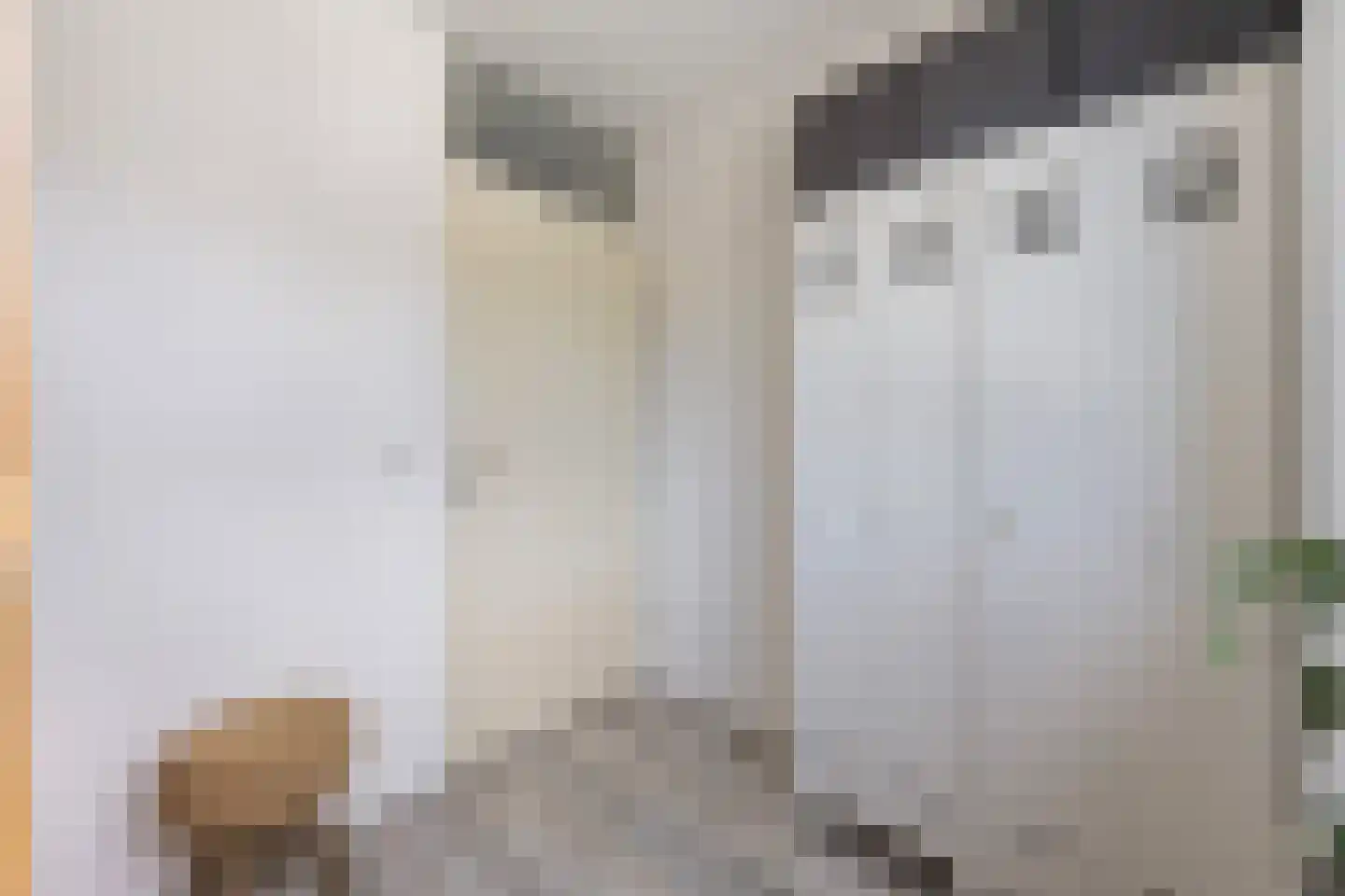 Traaipad 33 Zwolle thumbnail 24
