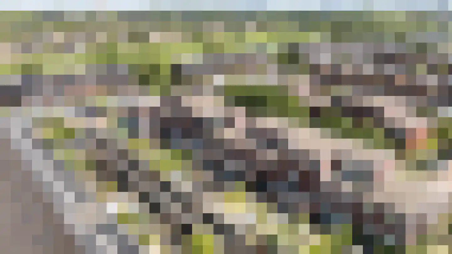 Traaipad 33 Zwolle thumbnail 27