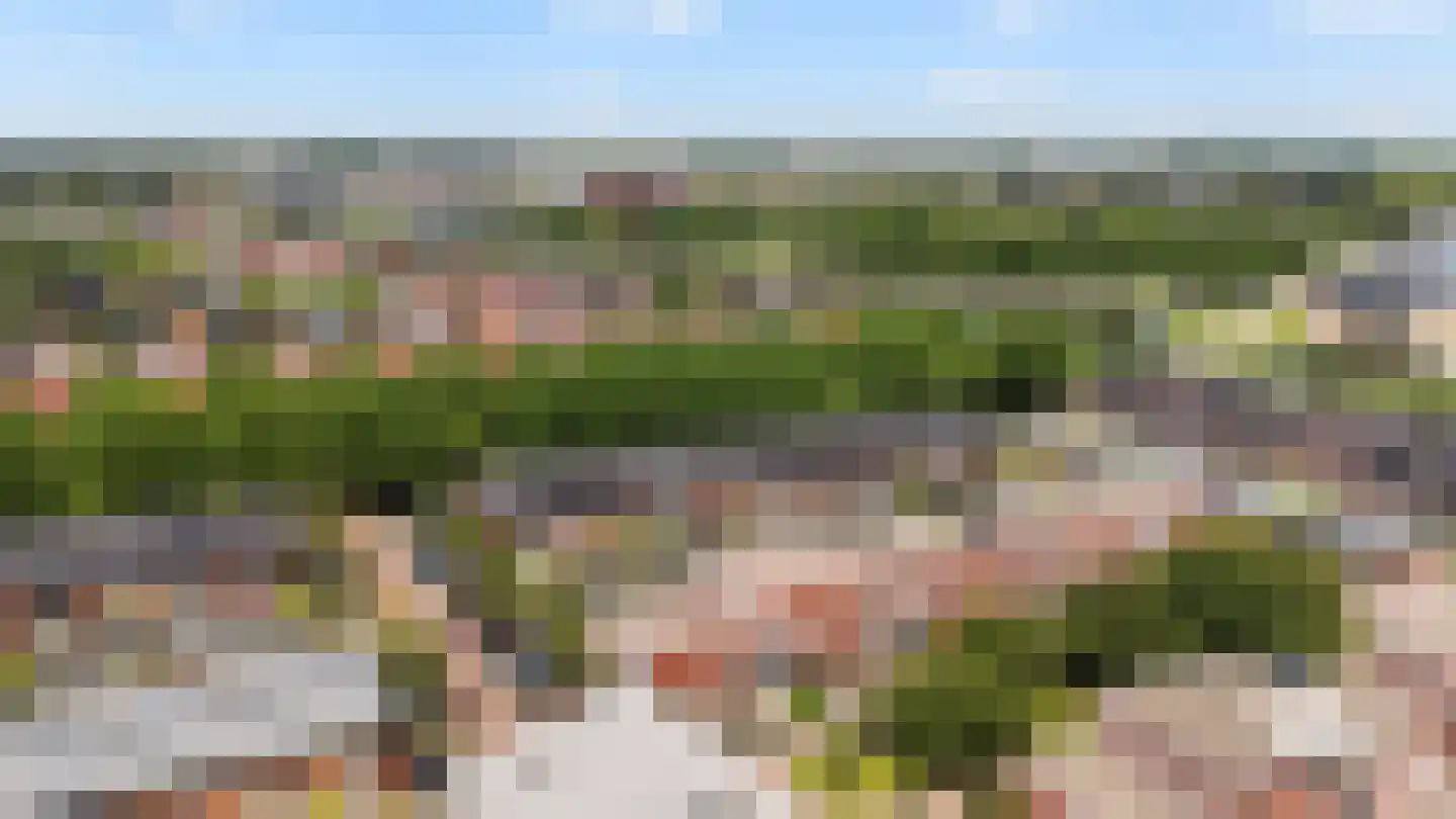 Traaipad 33 Zwolle thumbnail 29