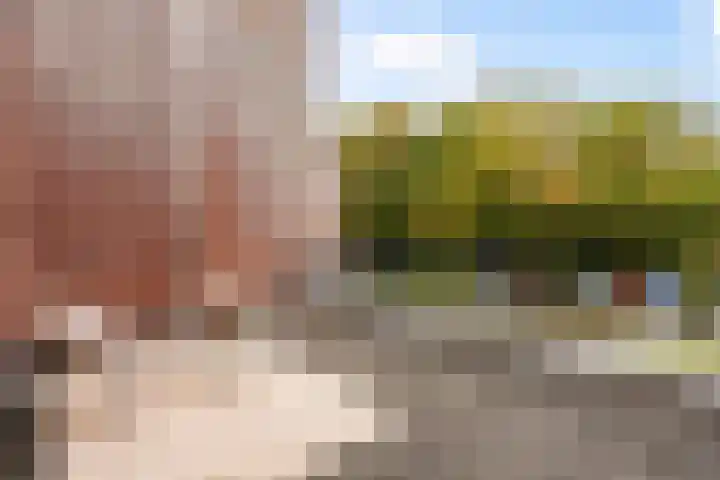 Traaipad 39 Zwolle thumbnail 20