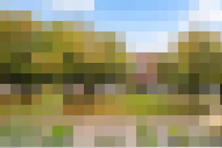 Traaipad 39 Zwolle thumbnail 21