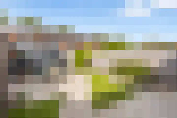 Traaipad 39 Zwolle thumbnail 24