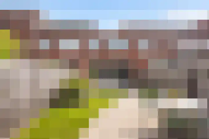 Traaipad 39 Zwolle thumbnail 25