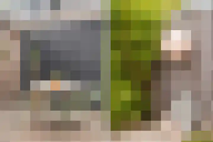 Traaipad 39 Zwolle thumbnail 26