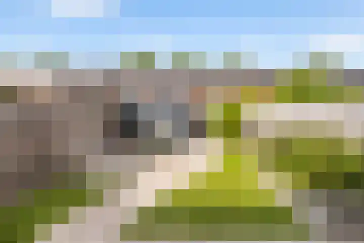 Traaipad 39 Zwolle thumbnail 27