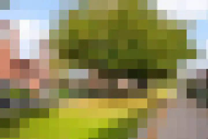 Traaipad 39 Zwolle thumbnail 28