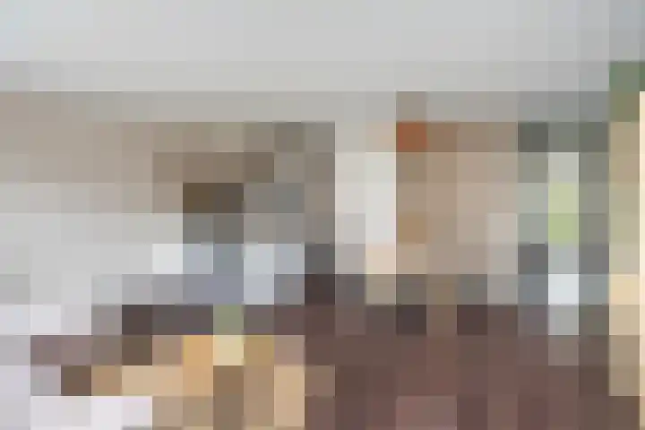 Traaipad 39 Zwolle thumbnail 4