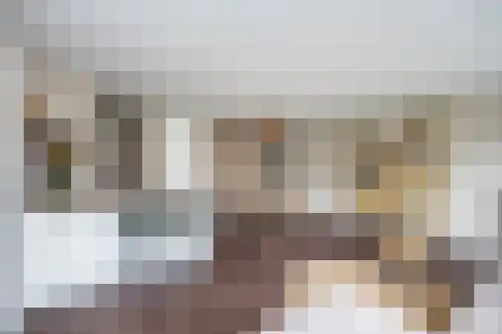Traaipad 39 Zwolle thumbnail 6