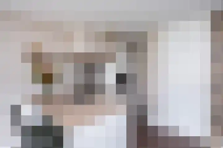 Traaipad 39 Zwolle thumbnail 9