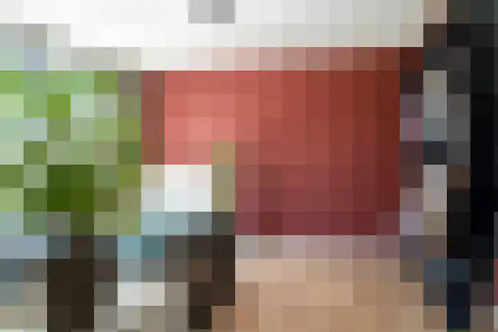Traaipad 51 Zwolle thumbnail 16