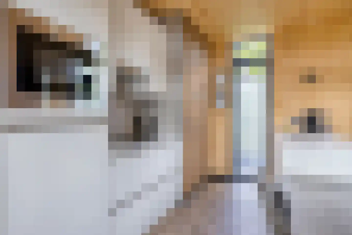 Traasweg 5 Z08 Markelo thumbnail 10