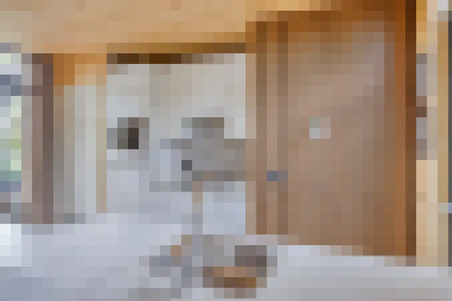 Traasweg 5 Z08 Markelo thumbnail 12
