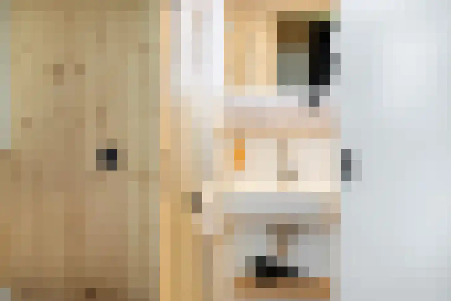 Traasweg 5 Z08 Markelo thumbnail 18