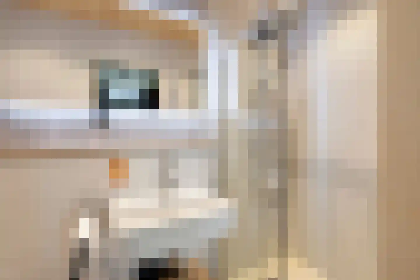 Traasweg 5 Z08 Markelo thumbnail 22