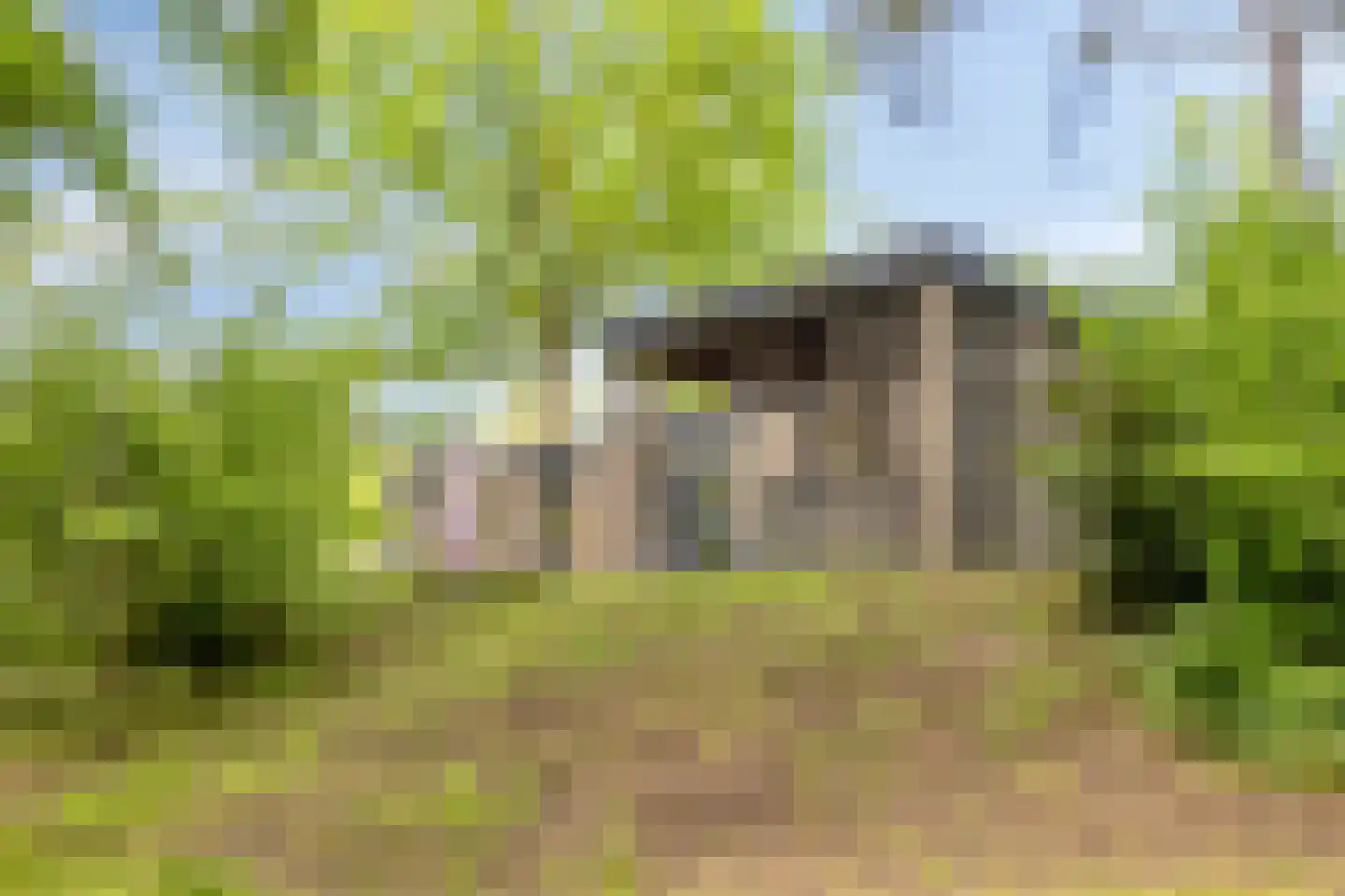 Traasweg 5 Z08 Markelo thumbnail 32