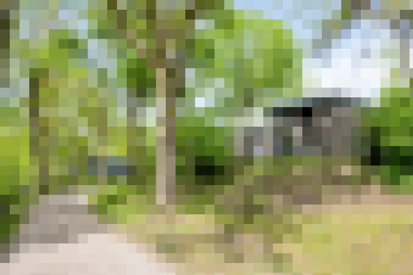 Traasweg 5 Z08 Markelo thumbnail 33