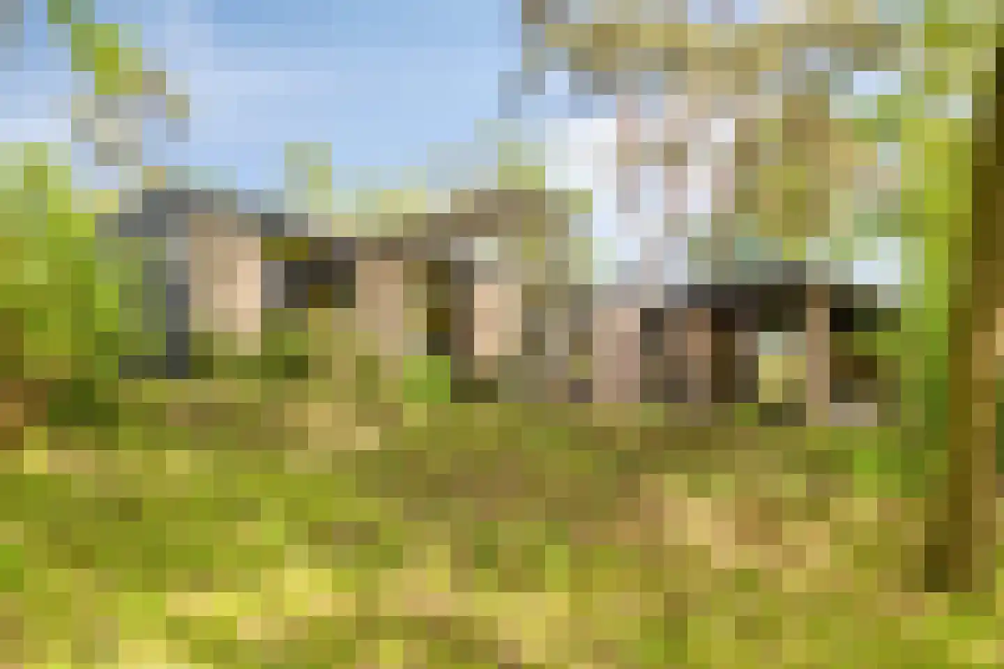 Traasweg 5 Z08 Markelo thumbnail 34