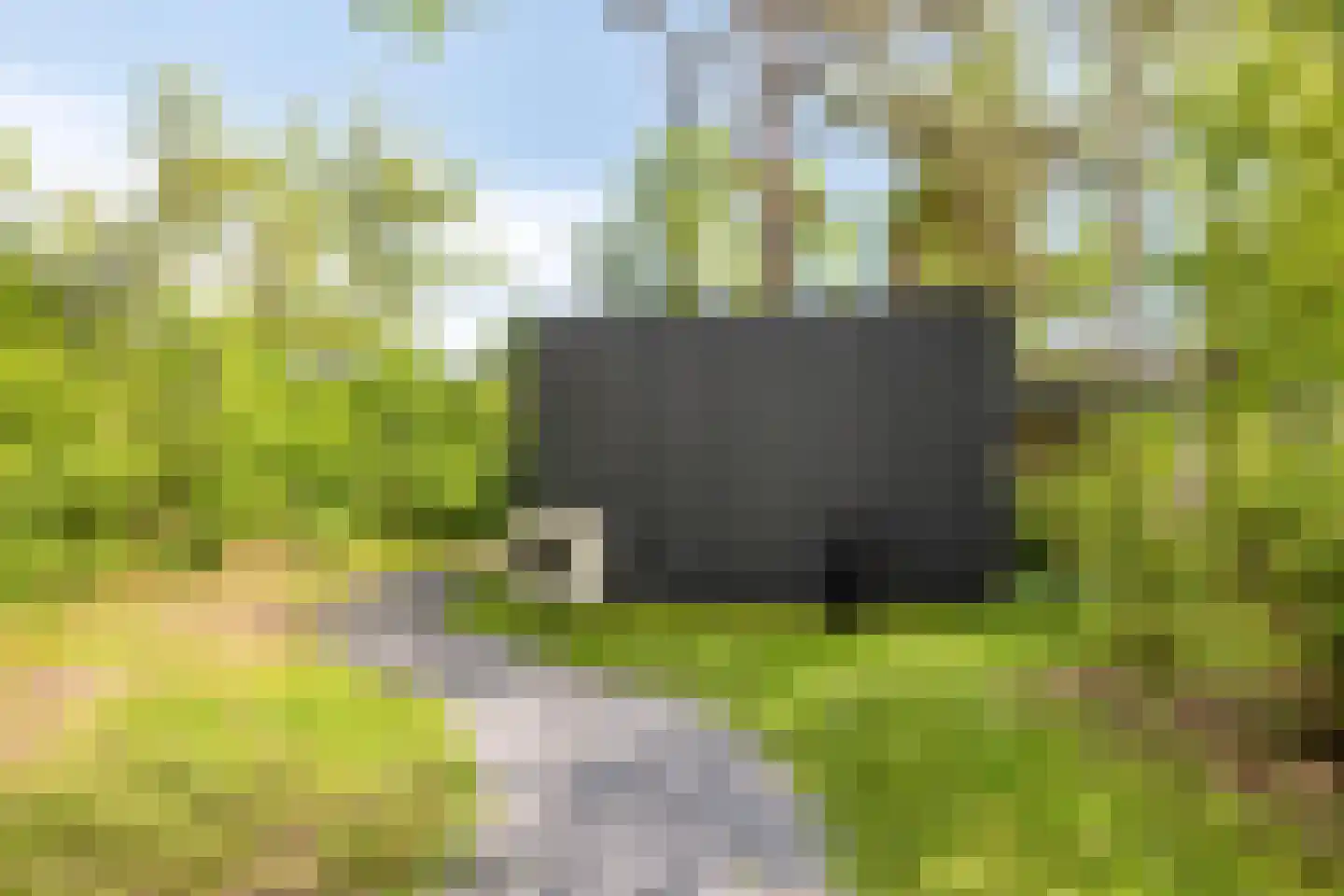 Traasweg 5 Z08 Markelo thumbnail 37
