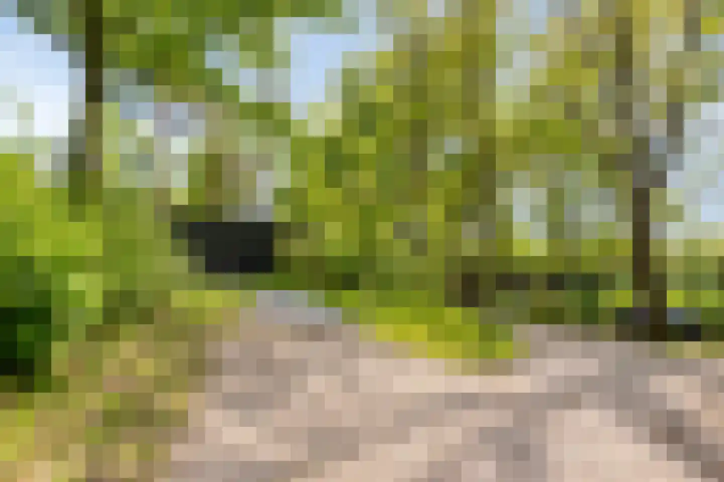 Traasweg 5 Z08 Markelo thumbnail 38