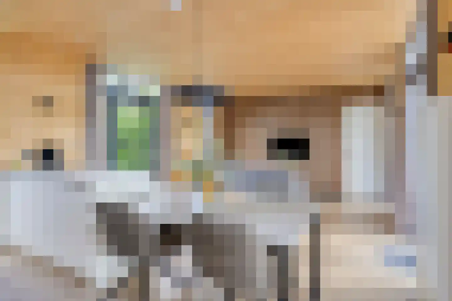 Traasweg 5 Z08 Markelo thumbnail 8