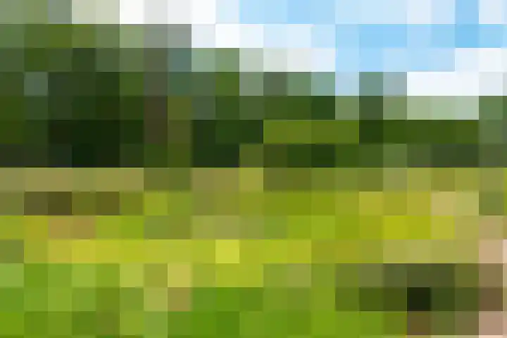 Traayweg 2 Austerlitz thumbnail 4