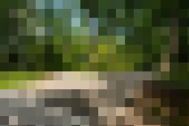 Traayweg 2 Austerlitz thumbnail 42