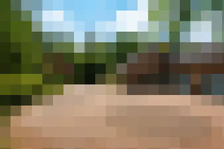 Traayweg 2 Austerlitz thumbnail 43