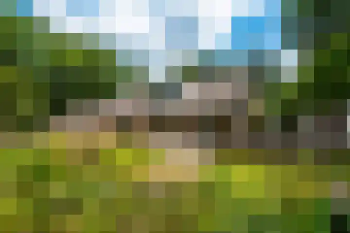 Traayweg 2 Austerlitz thumbnail 48