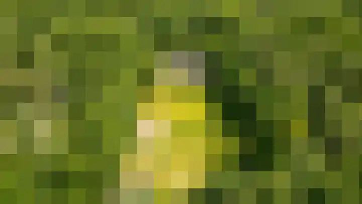 Traayweg 2 Austerlitz thumbnail 6