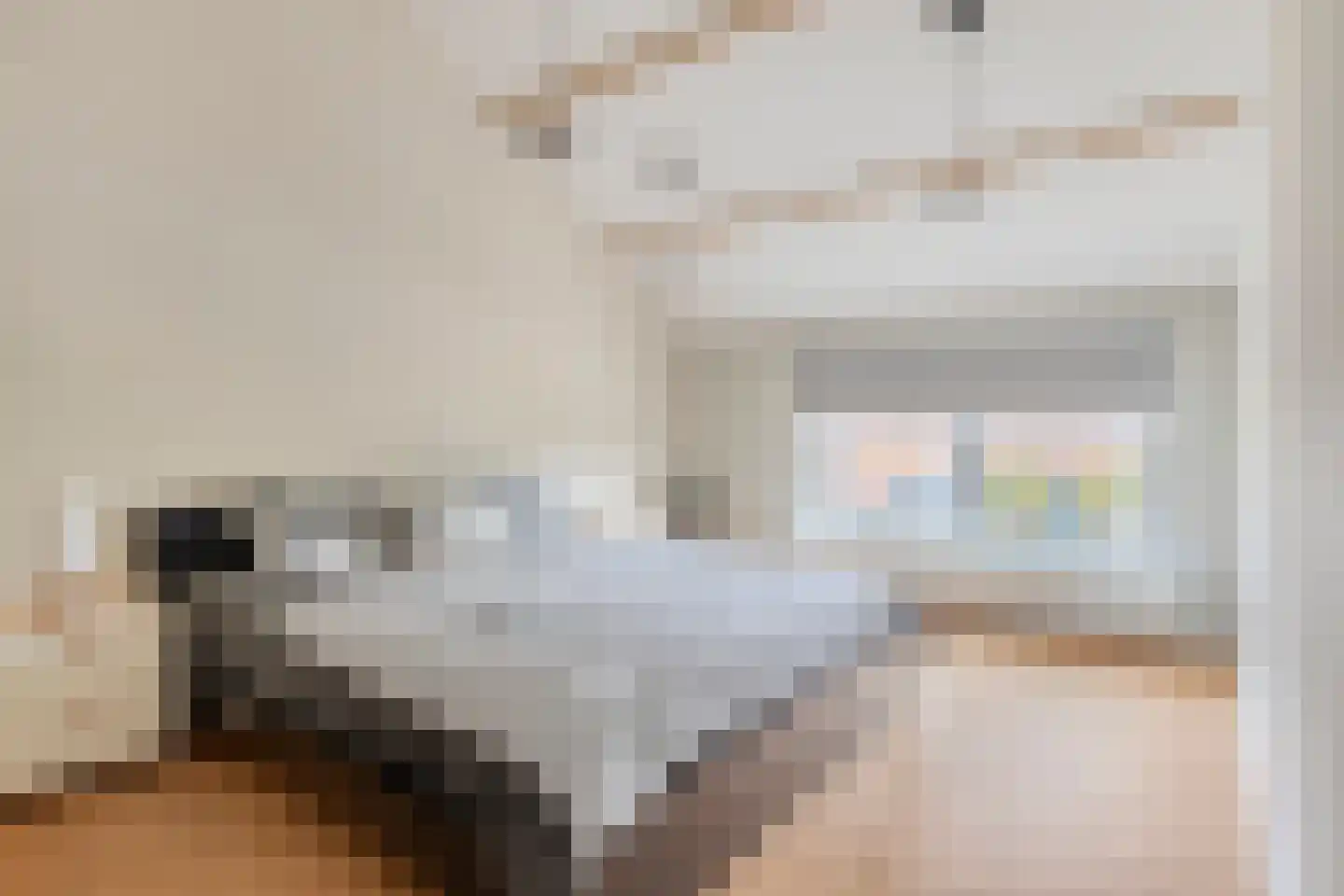 Tragel 3 Koewacht thumbnail 20
