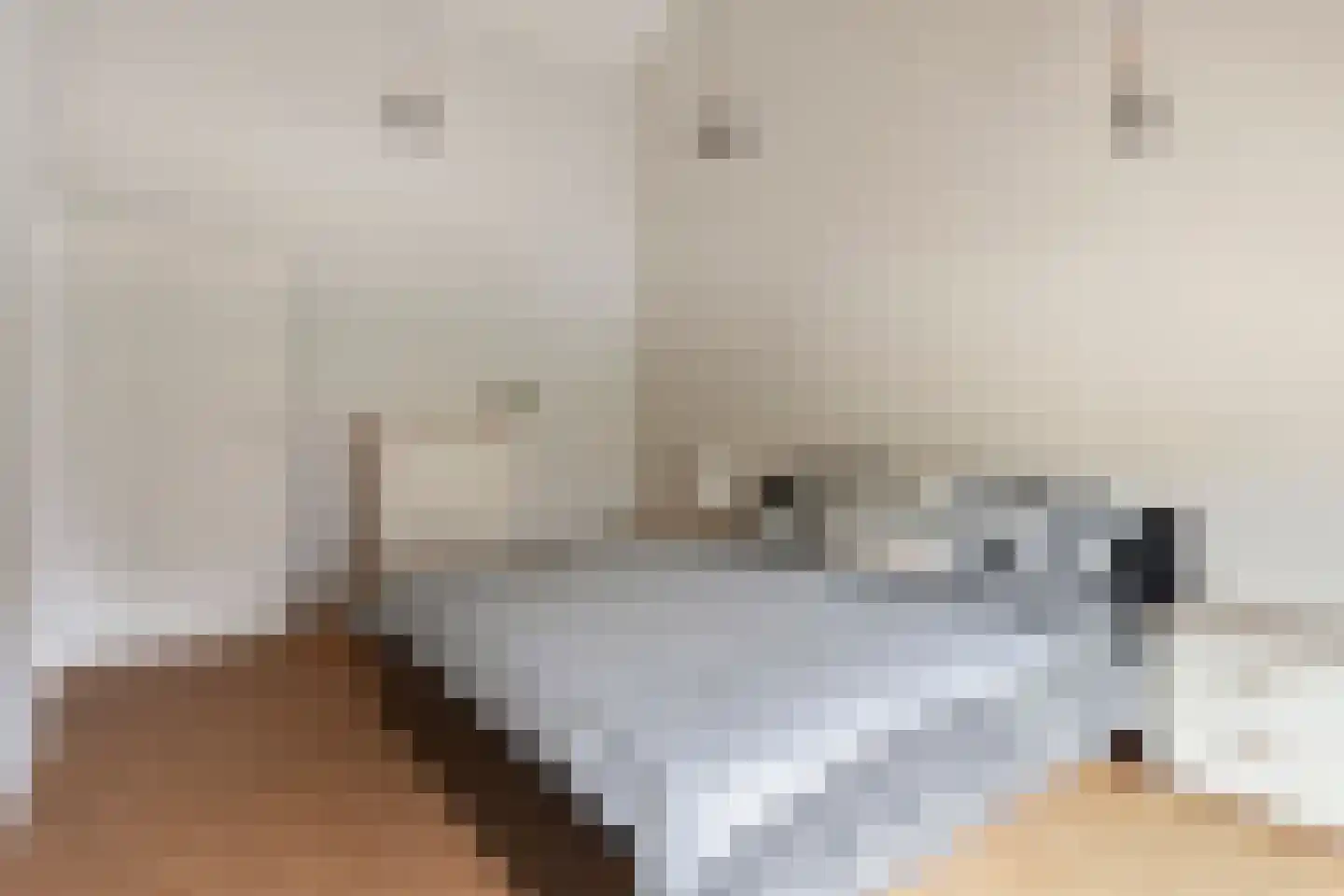 Tragel 3 Koewacht thumbnail 21
