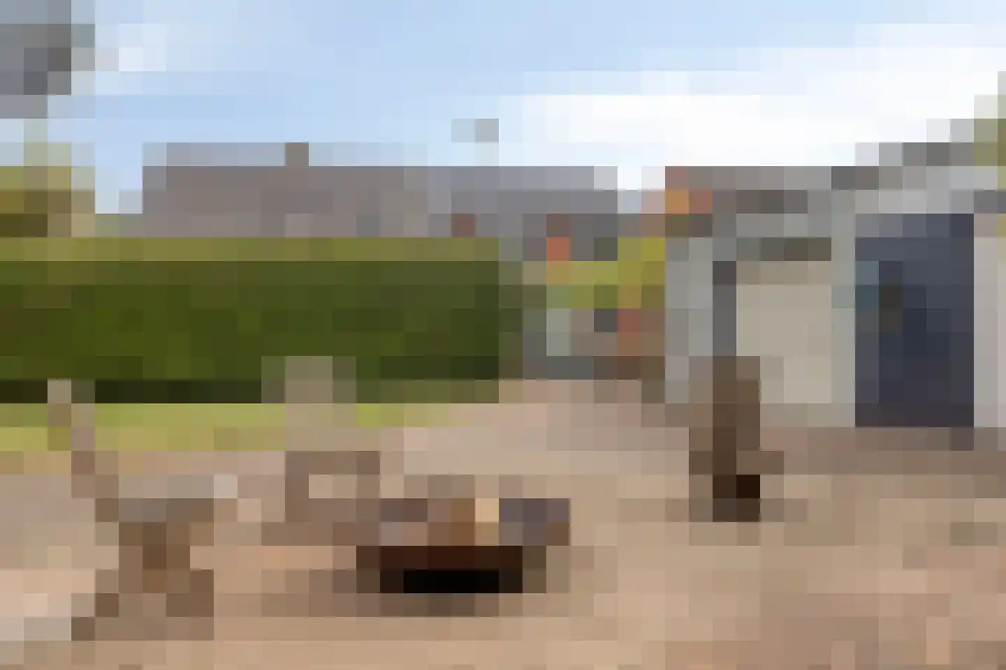 Tragel 3 Koewacht thumbnail 31