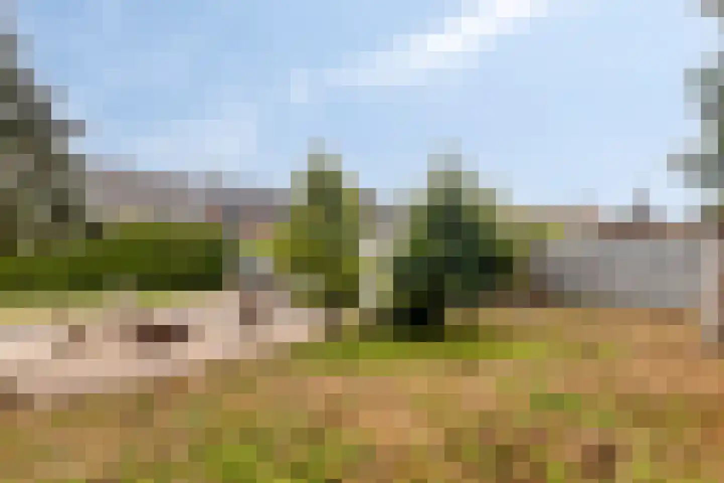 Tragel 3 Koewacht thumbnail 32