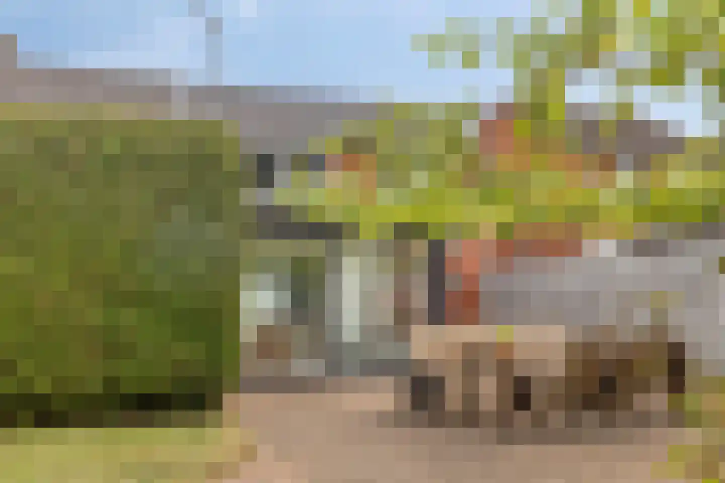 Tragel 3 Koewacht thumbnail 33