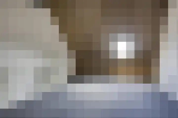 Tragel 30 IJsselmuiden thumbnail 21