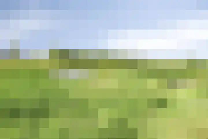 Tragel 30 IJsselmuiden thumbnail 30
