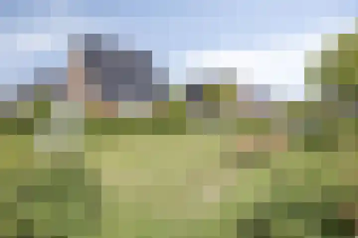 Tragel 30 IJsselmuiden thumbnail 31