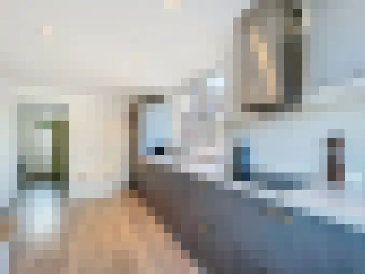 Tragel Oost 1 Schoondijke thumbnail 13