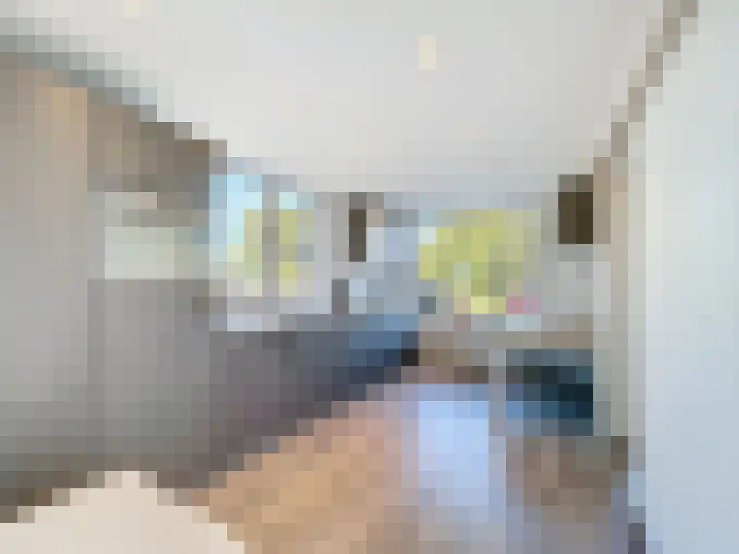 Tragel Oost 1 Schoondijke thumbnail 14