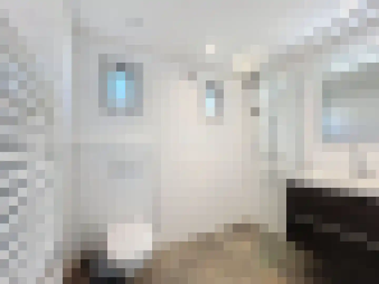 Tragel Oost 1 Schoondijke thumbnail 16
