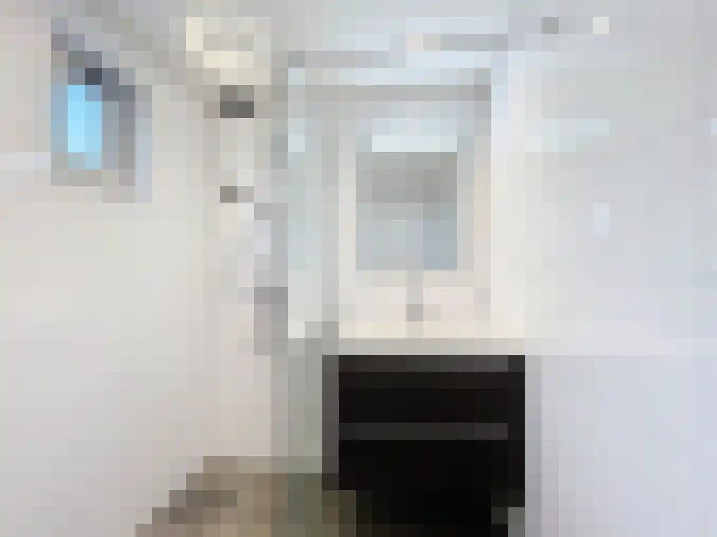 Tragel Oost 1 Schoondijke thumbnail 17