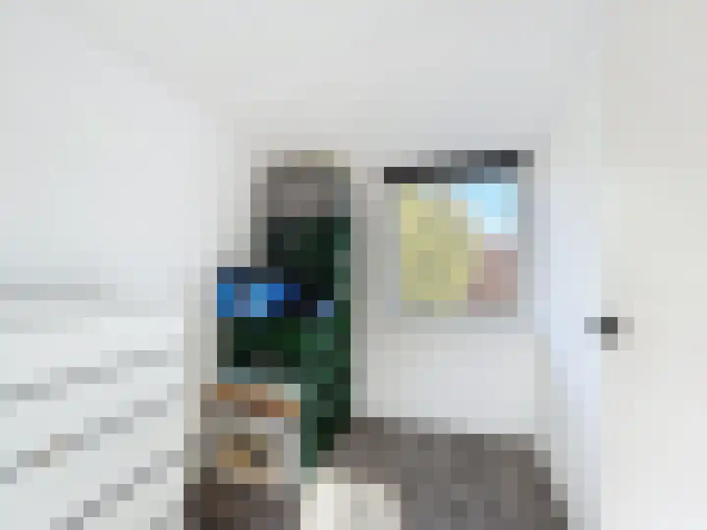 Tragel Oost 1 Schoondijke thumbnail 20