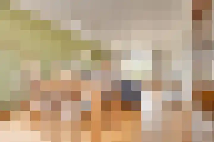Tragel Oost 7 Schoondijke thumbnail 10