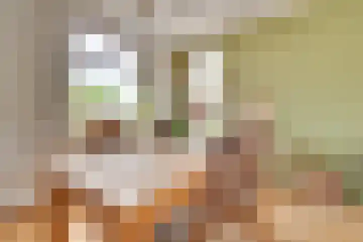 Tragel Oost 7 Schoondijke thumbnail 11