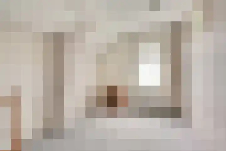 Tragel Oost 7 Schoondijke thumbnail 17