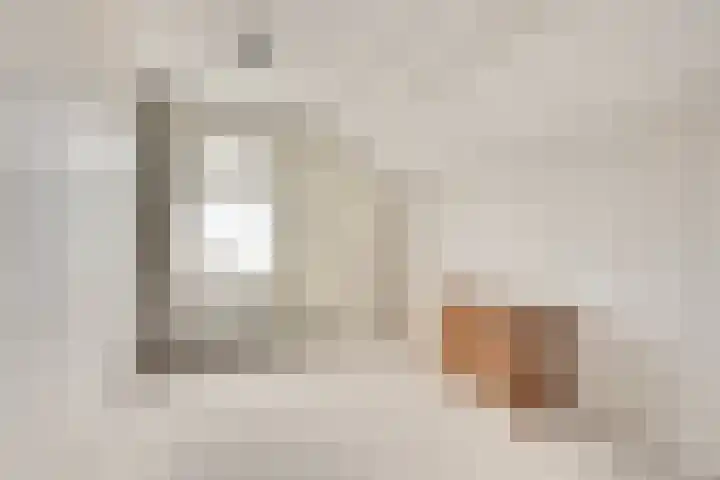 Tragel Oost 7 Schoondijke thumbnail 18