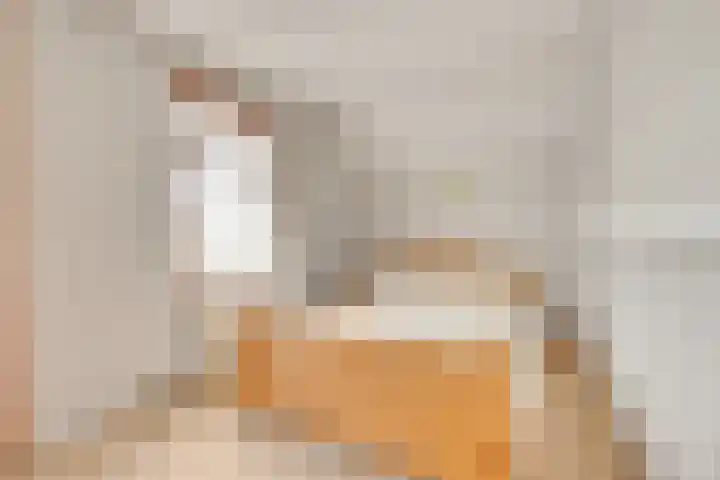 Tragel Oost 7 Schoondijke thumbnail 19