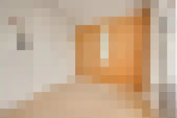 Tragel Oost 7 Schoondijke thumbnail 20