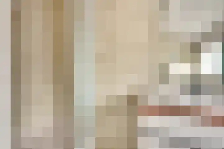 Tragel Oost 7 Schoondijke thumbnail 21