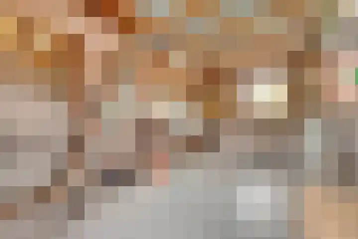 Tragel Oost 7 Schoondijke thumbnail 22